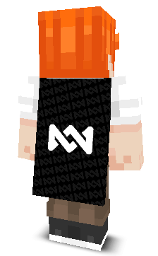 Back angle of Minecraft Skin of Wowy