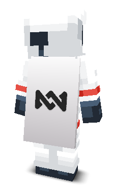 Back angle of Minecraft Skin of Anakn