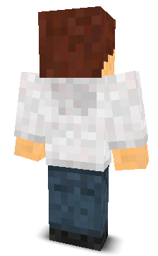 Back angle of Minecraft Skin of Rigner