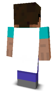 Back angle of Minecraft Skin of akwuh
