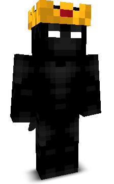 Front angle of Minecraft Skin of Physci