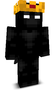 Front angle of Minecraft Skin of Physci