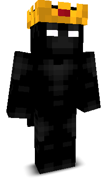 Front angle of Minecraft Skin of Physci