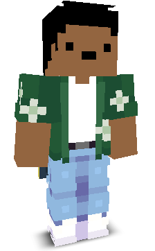 Front angle of Minecraft Skin of Limies