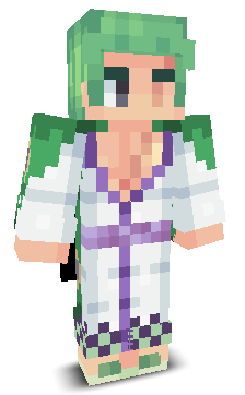 Front angle of Minecraft Skin of Zenection