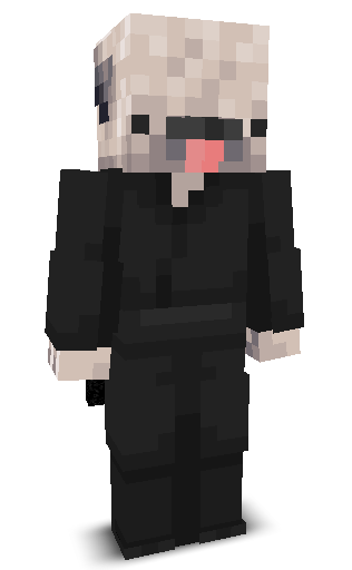 Front angle of Minecraft Skin of Puggified