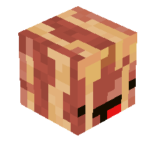 Baconnwaffles0's Minecraft head
